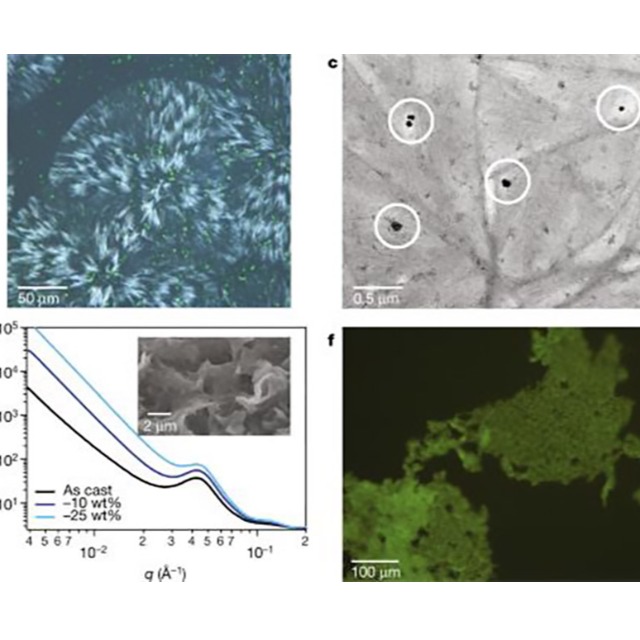 什么是可堆肥生物降解塑料？