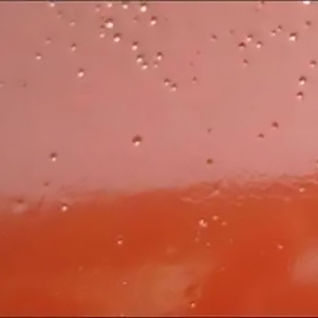 无卤阻燃PP的气孔、水滑及阻燃效果问题简析