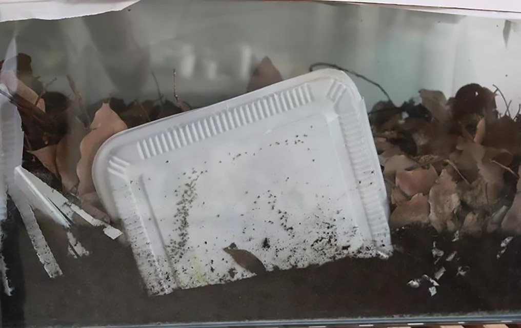 260-可堆肥塑料等同于生物降解塑料？配图